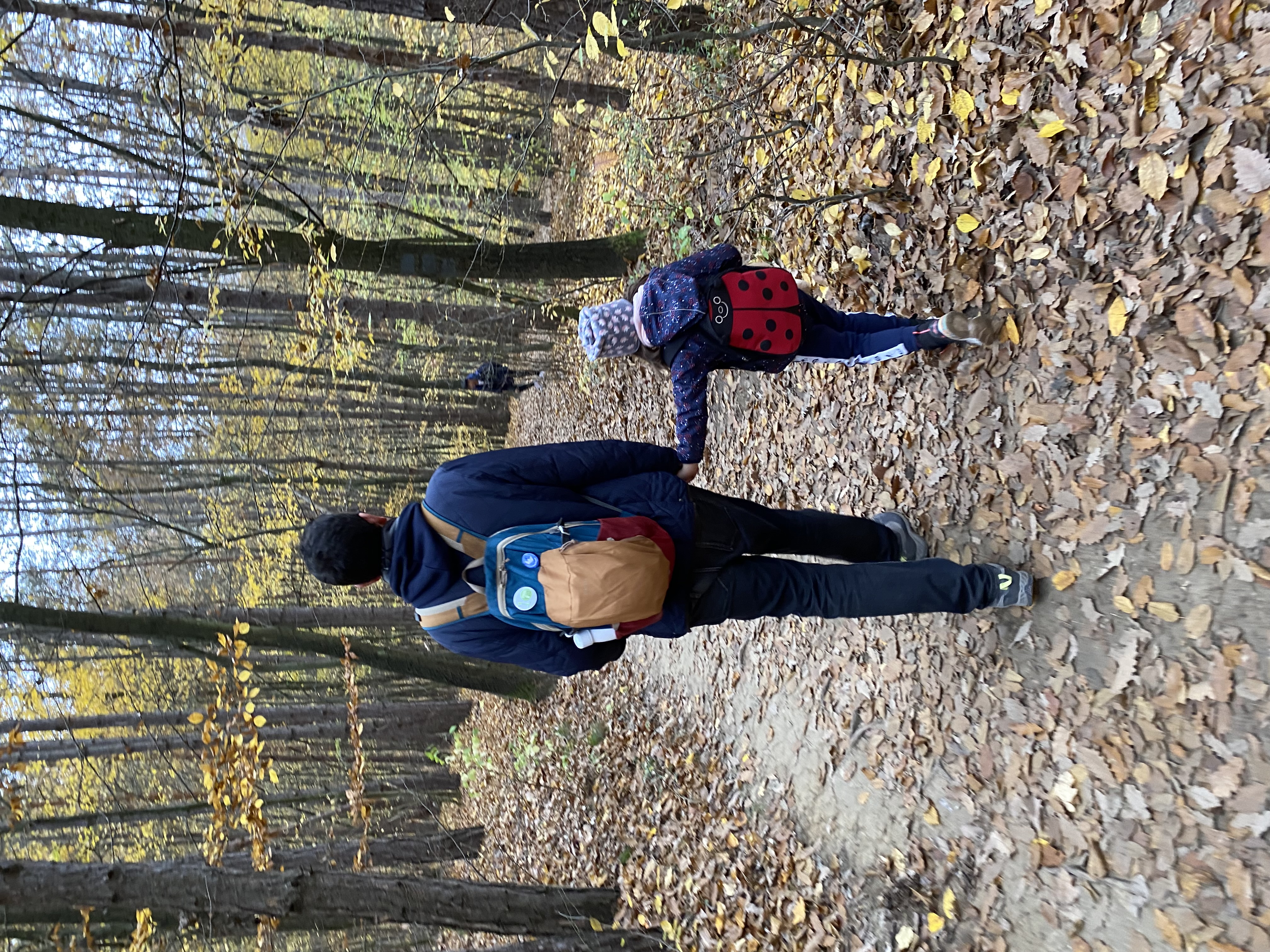 20 Questions Is a Great Choice While Hiking